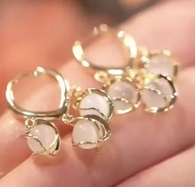 PolluxCraft korean Design Earring For Girls & Women